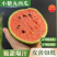陕西蒲城938吊兰西瓜/小吊兰/吊篮西瓜/小吊瓜/小糖丸