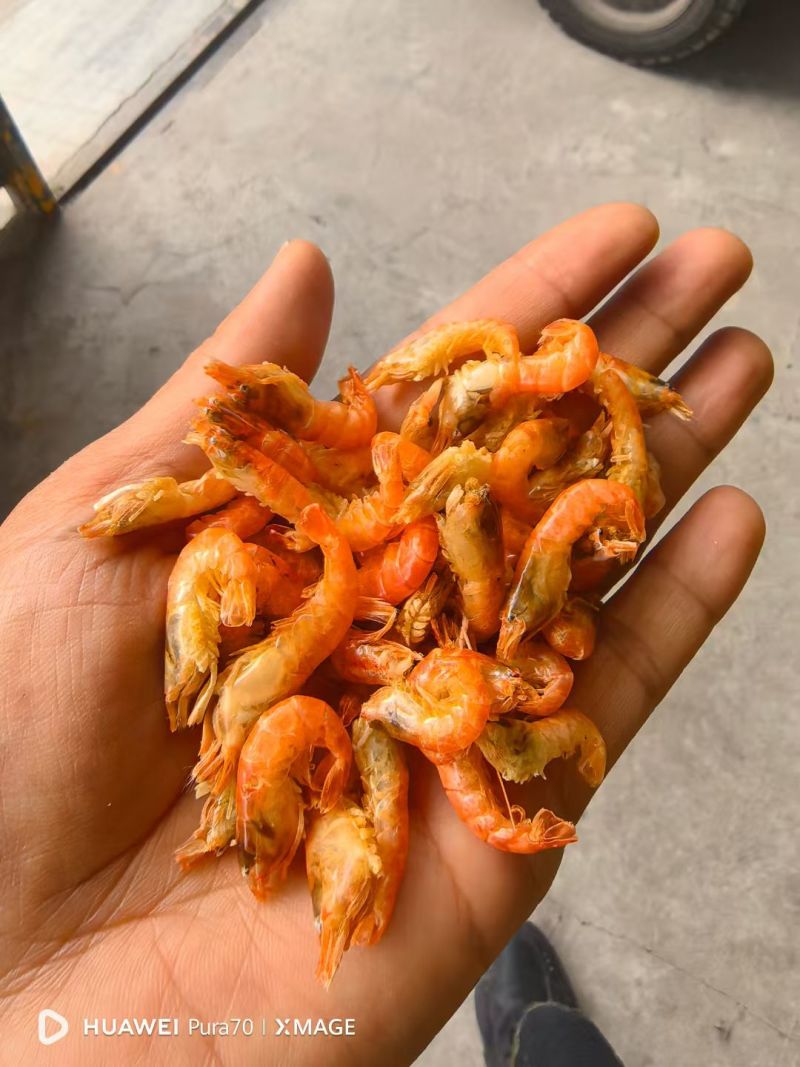 小鱼小虾