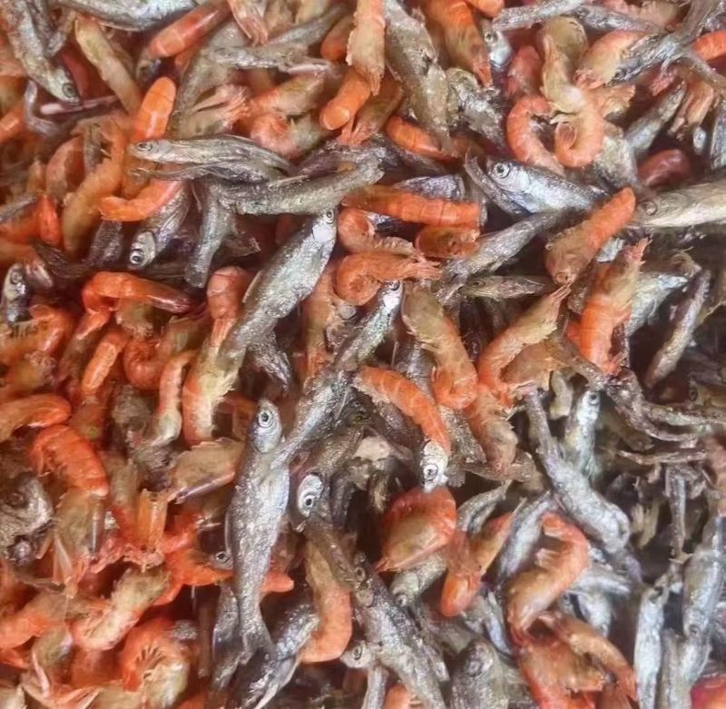 小鱼小虾