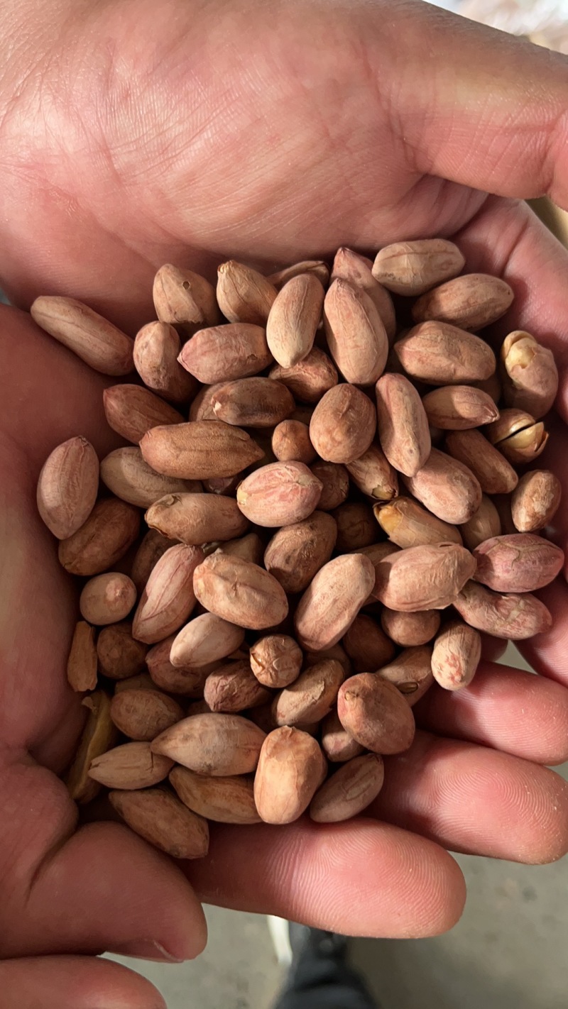 花生米五香花生新货批发零食下酒菜批发零售