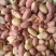 花生米五香花生新货批发零食下酒菜批发零售