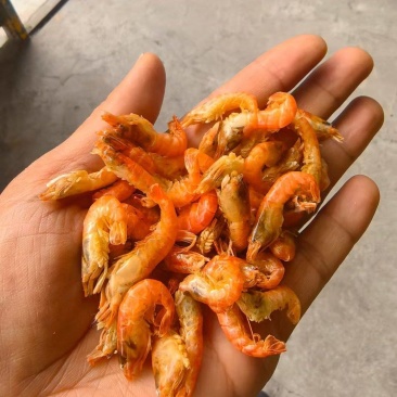 小鱼小虾