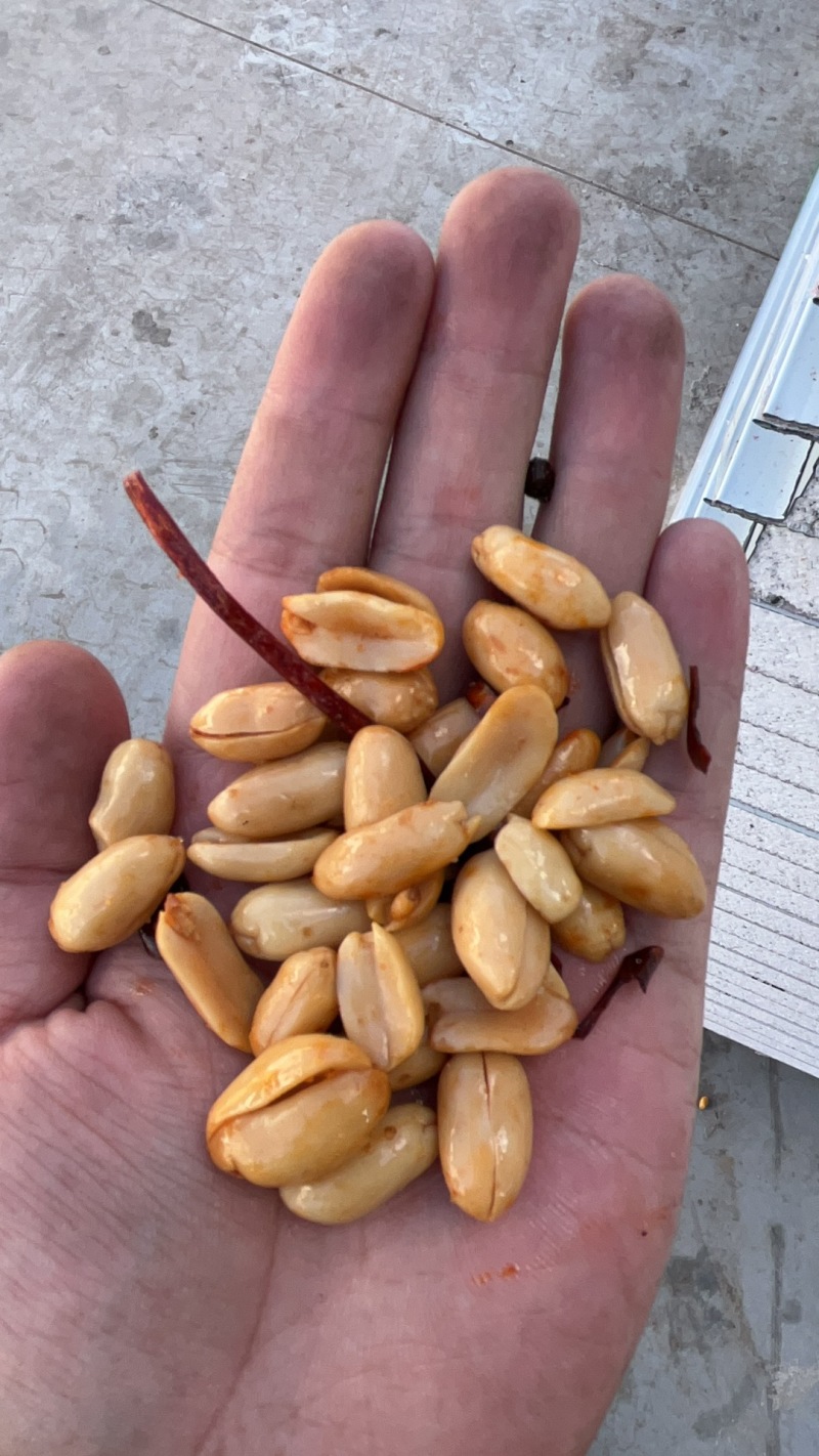 酒鬼花生五香花生米下酒菜批发零售油炸零食