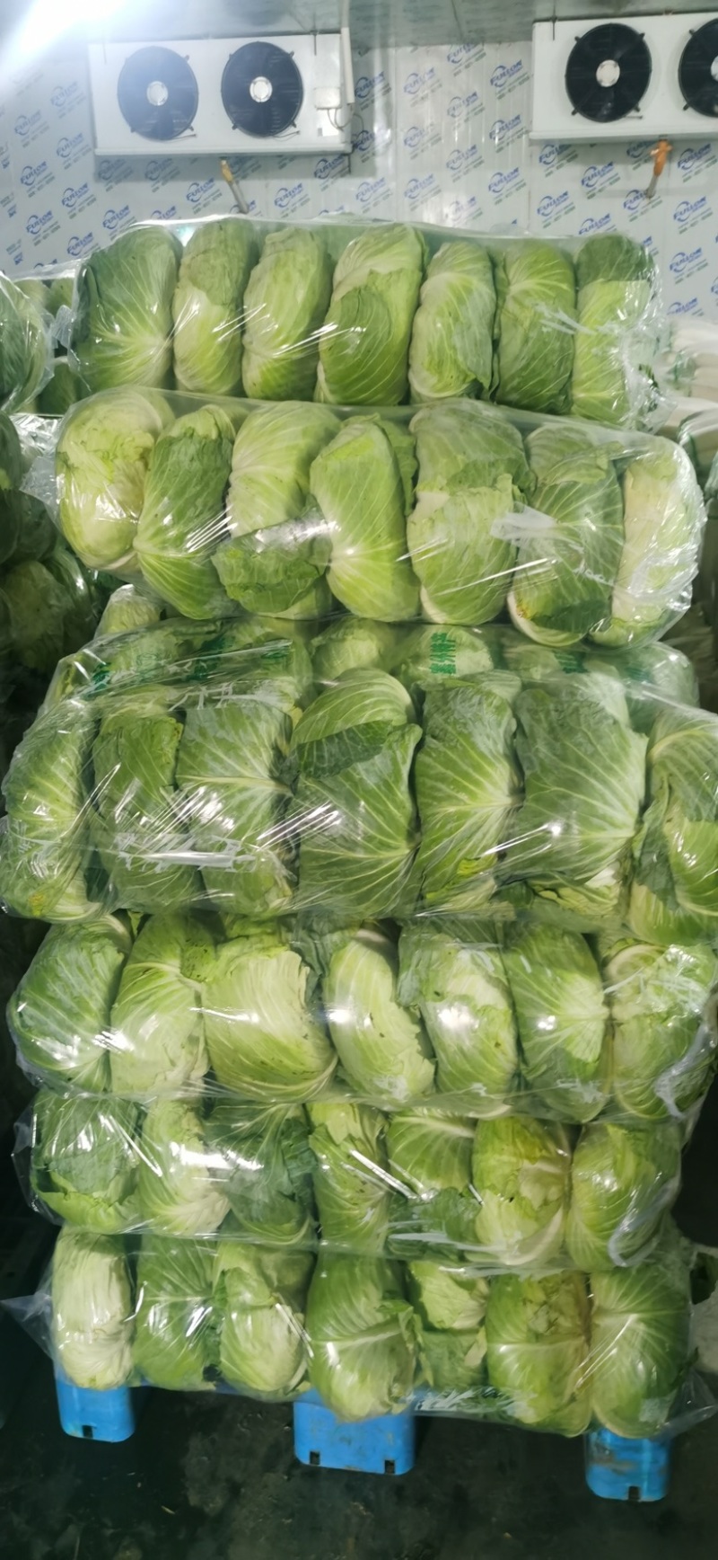 湖北平包，莲花白，市场，电商，脱水菜，全国客商来电咨询。