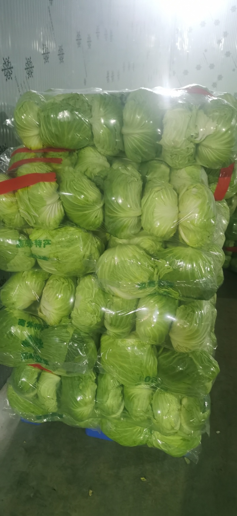 湖北平包，莲花白，市场，电商，脱水菜，全国客商来电咨询。