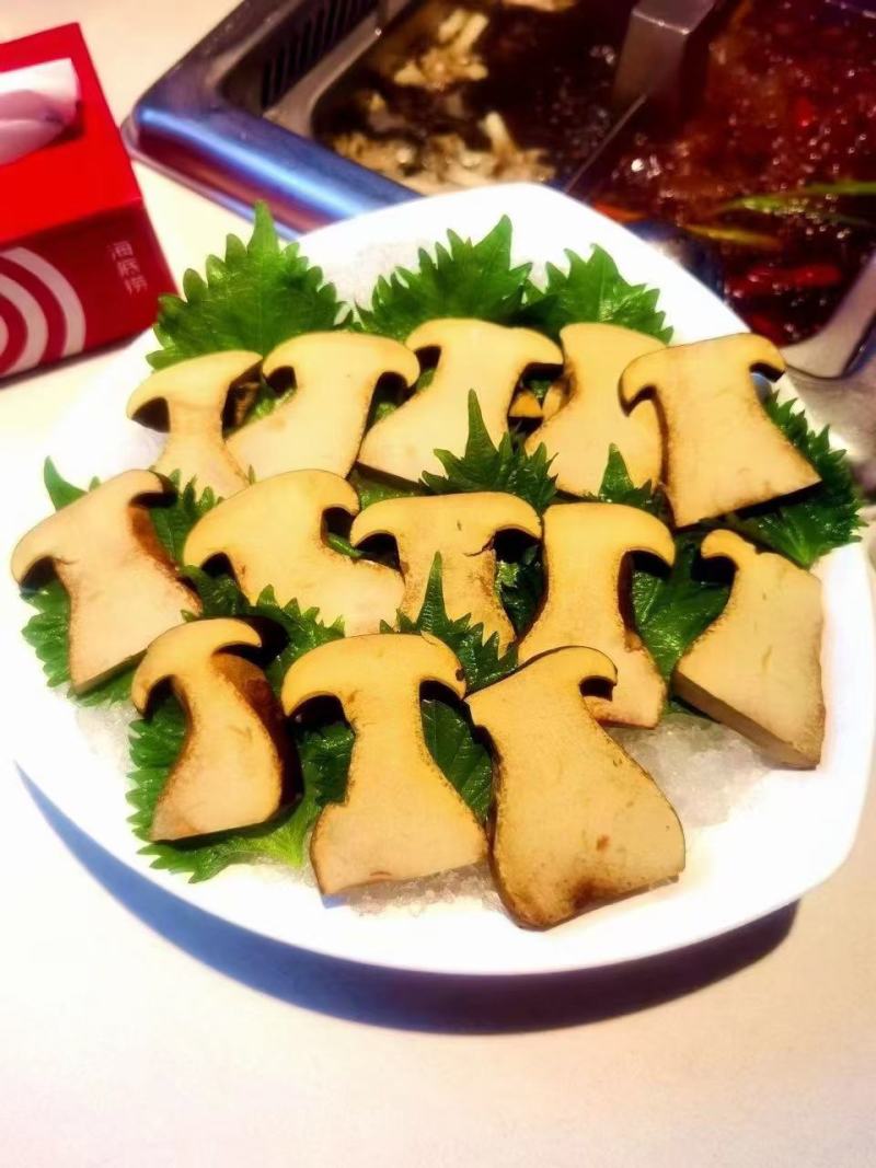 新鲜黑牛肝菌，