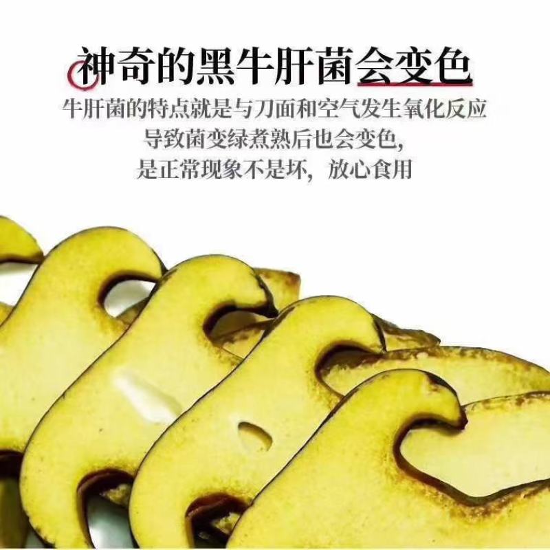 新鲜黑牛肝菌，