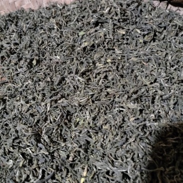 正宗乾隆游江南贡品茶，周打铁手工茶叶品质保证新货产地直发