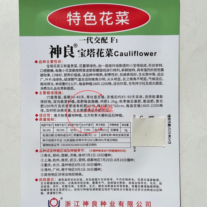 神良宝塔花椰菜种子绿色菜花种籽耐寒抗病产量高送花菜