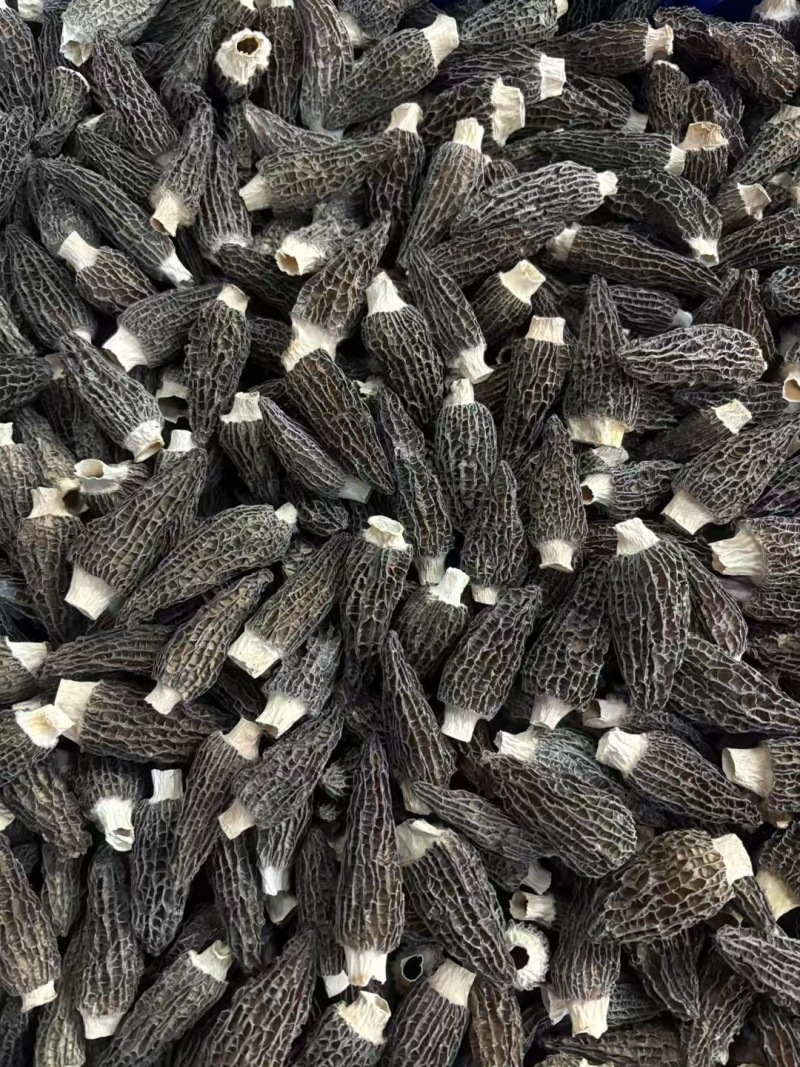 羊肚菌产地直销批发干货头茬新鲜烘干羊肚菇菌菇礼盒土特产