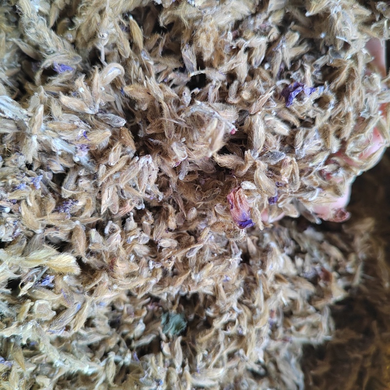 【牛商推荐】葛花葛根花现货速发产地直供欢迎来电咨询