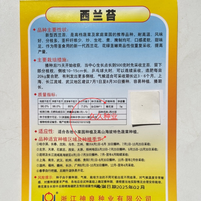 西兰苔种子耐高温口感软甜可重复采收四季可种