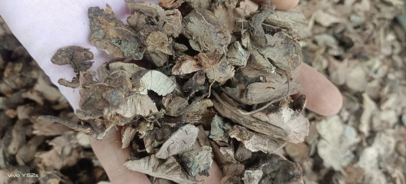 野生金荞麦货品都是实物拍摄，做中药我们只做正品