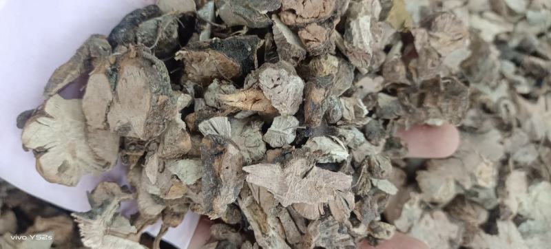 野生金荞麦货品都是实物拍摄，做中药我们只做正品