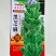 高油黑芝麻种子高产黑芝麻种籽薄皮抗病耐渍春夏季芝麻农用当