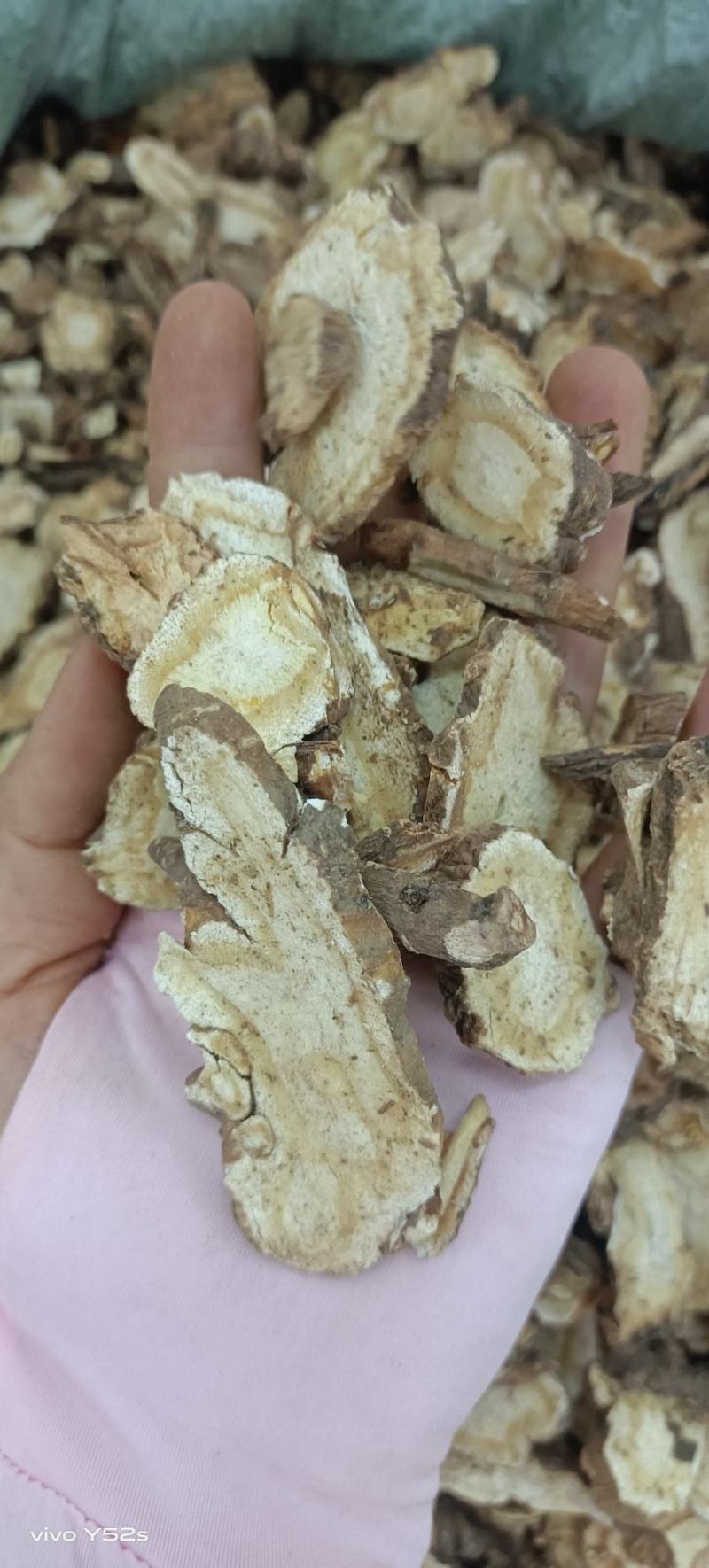前胡货品均实物拍摄，做药材我们只做正品有需要欢迎资讯