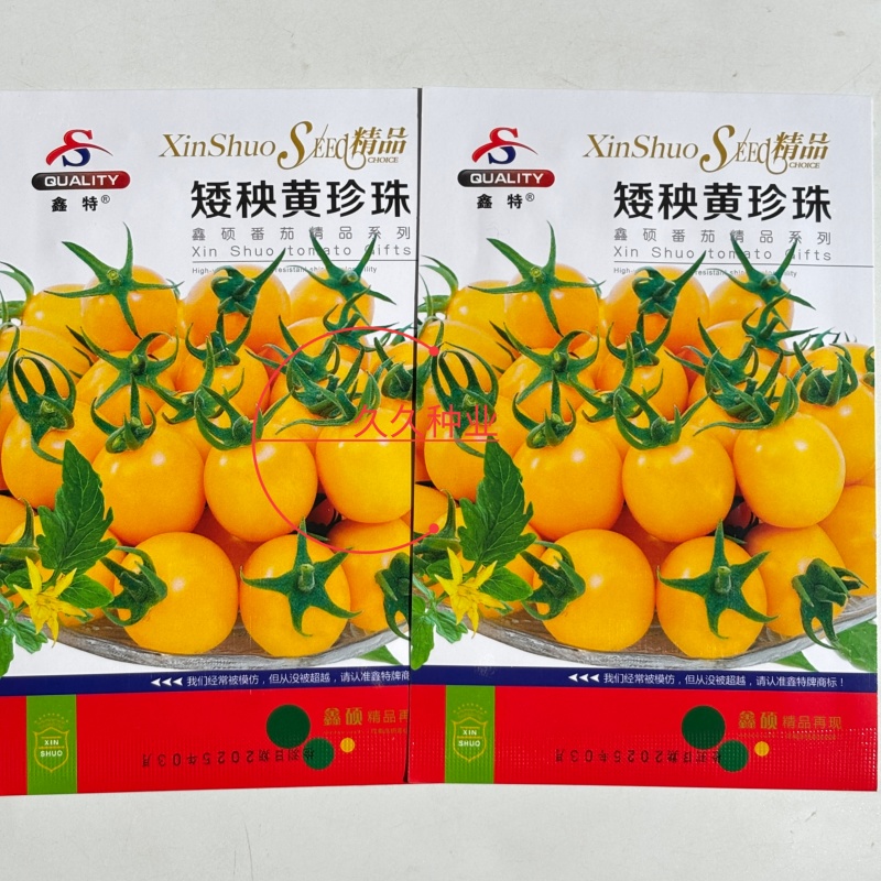 矮秧黄珍珠番茄圣女果种子早熟椭圆樱桃金黄果小番茄