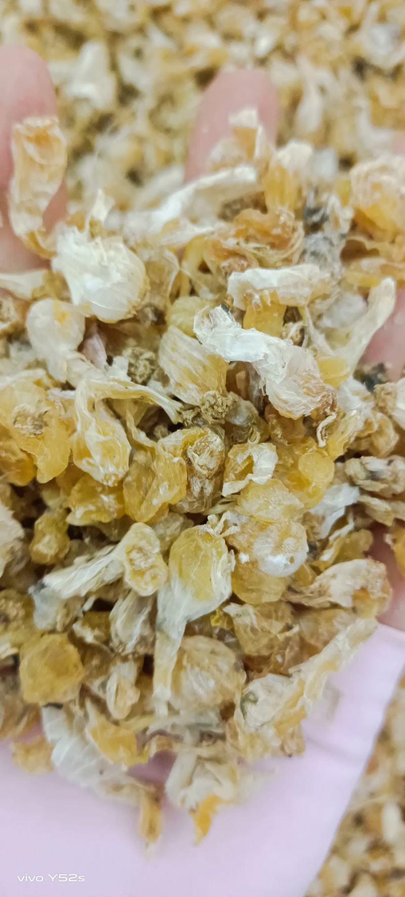 薤白货品均实物拍摄，中药我们只做正品，诚信是我努力的见证