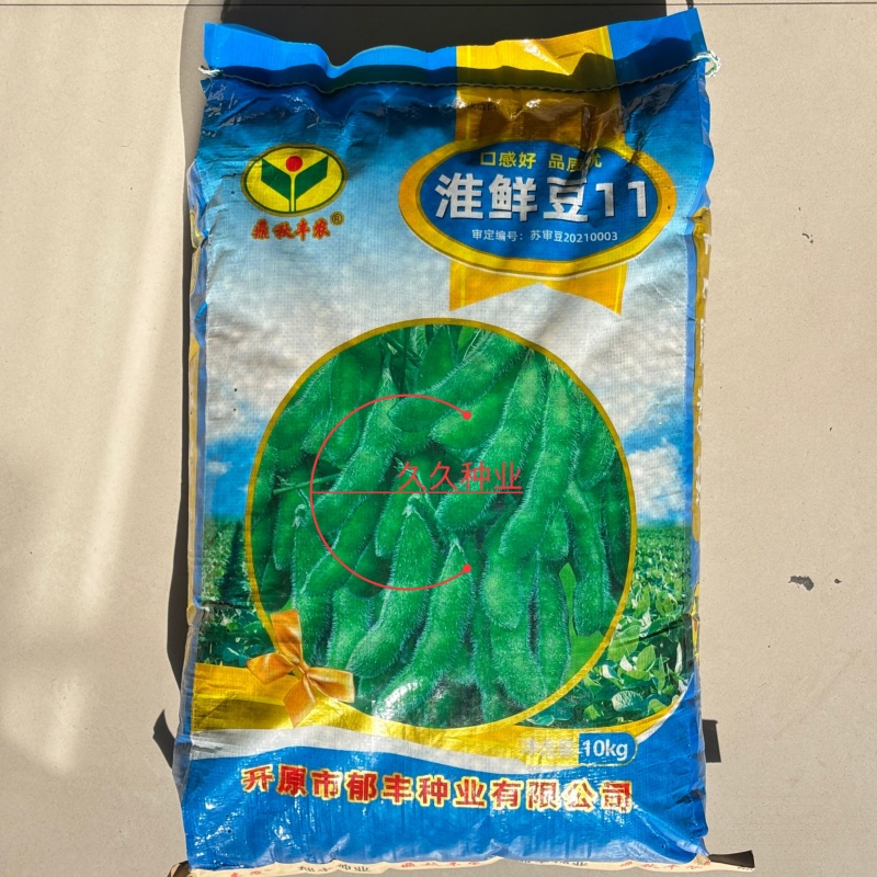 淮鲜豆11毛豆种子早熟高产青皮黄豆种子大荚菜毛豆种籽