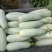 【推荐】羊角蜜甜瓜博洋61甜瓜,绿宝供应市场商超一手货源