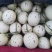 蜜露甜瓜梦露甜瓜特有品种保熟包甜有场地工人备货快现场挑满意