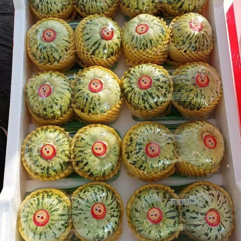 【推荐】山东花蕾甜瓜供应市场商超一手货源保质保量量大价优