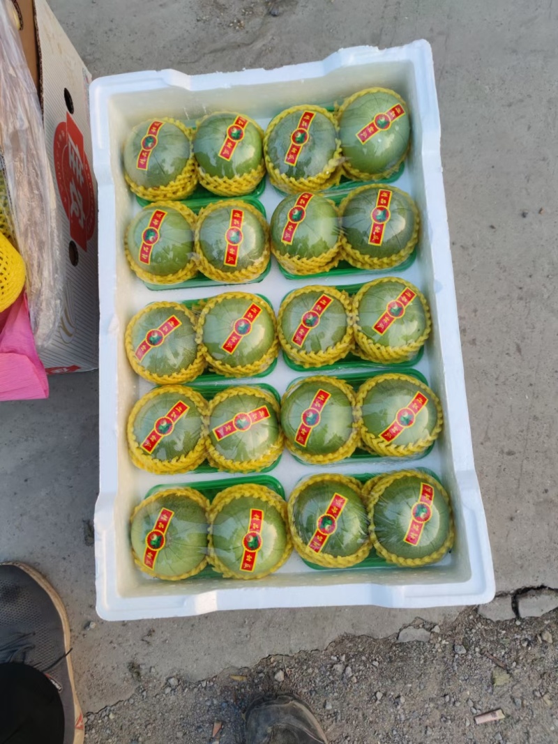 山东绿宝甜瓜供应市场商超一手货源保质保量量大价优