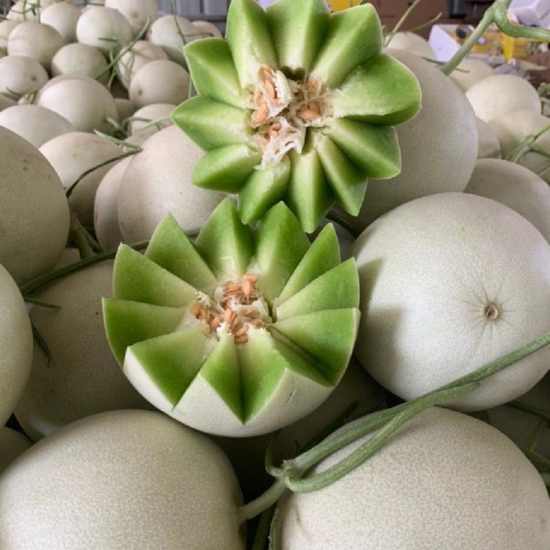 【推荐】山东玉菇甜瓜供应市场商超一手货源保质保量