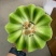【推荐】山东玉菇甜瓜供应市场商超一手货源保质保量