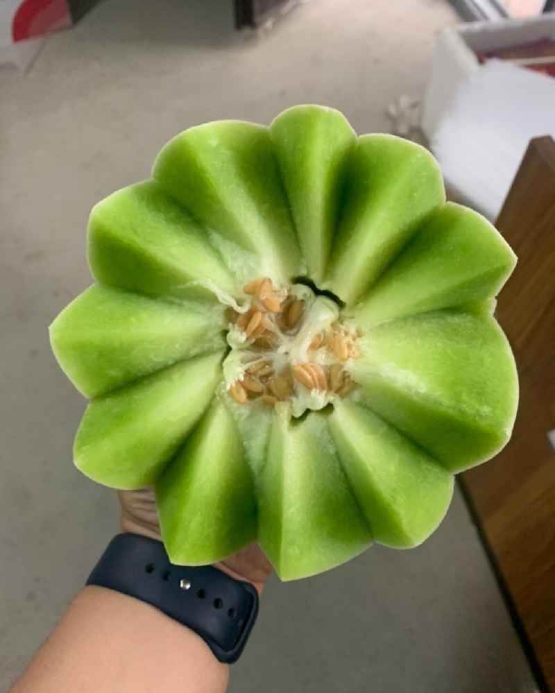 【推荐】山东玉菇甜瓜供应市场商超一手货源保质保量