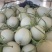 【推荐】山东玉菇甜瓜供应市场商超一手货源保质保量