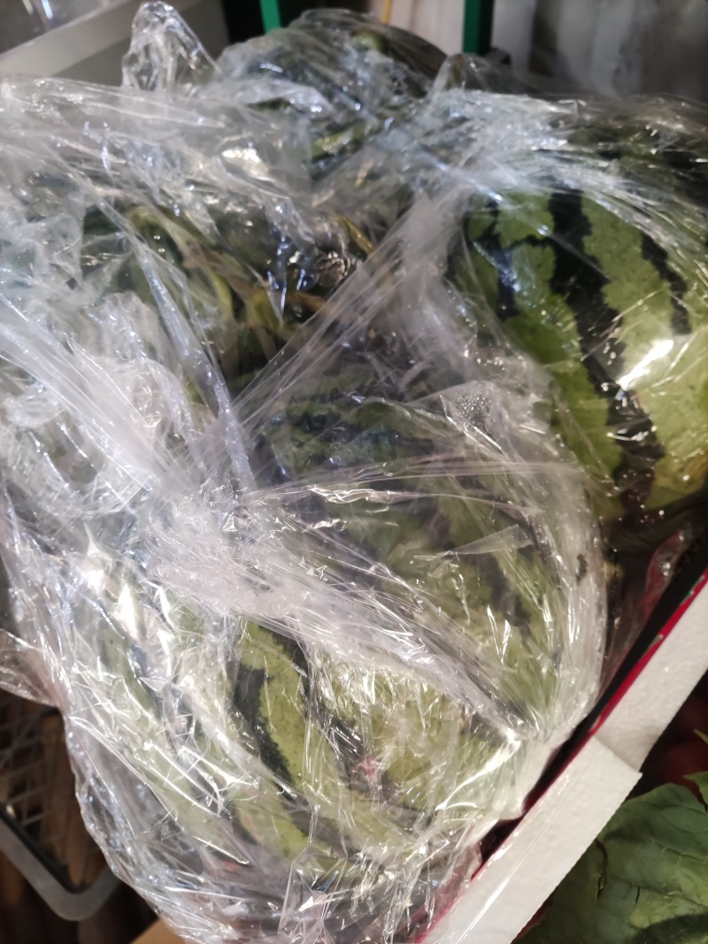 山东大西瓜甜王美都量大从优品质保证