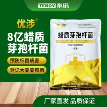 蜡质芽孢杆菌蔬菜果树大姜姜瘟病农药杀菌剂厂家直销