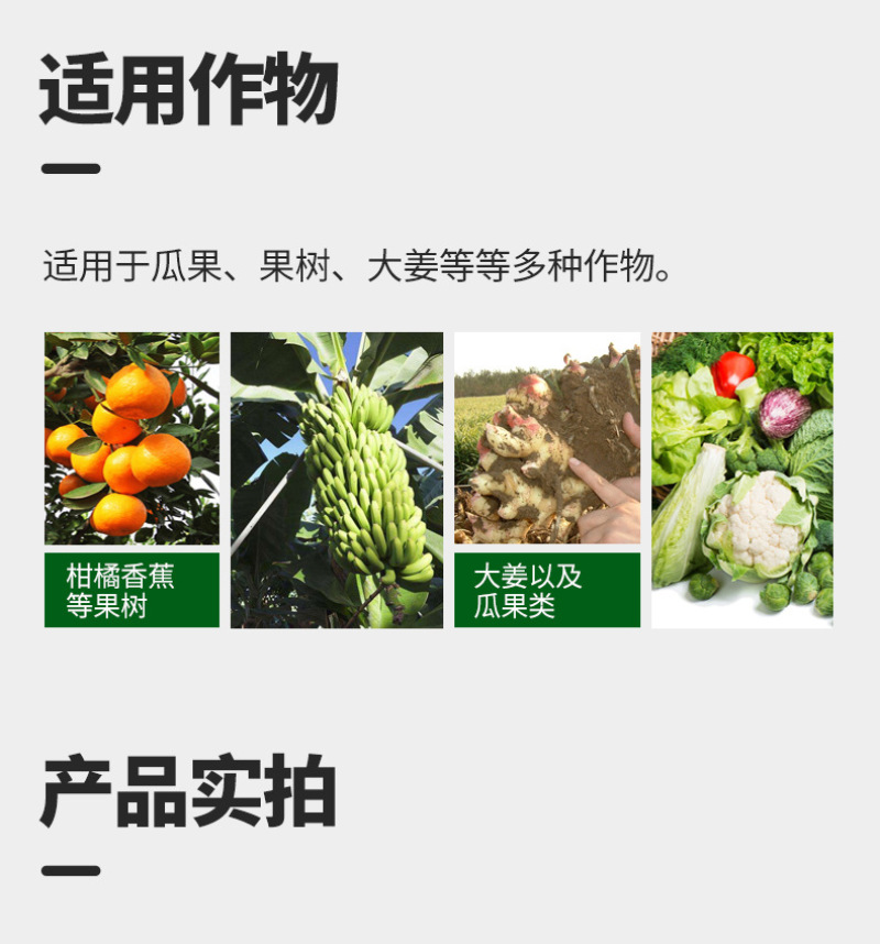 蜡质芽孢杆菌蔬菜果树大姜姜瘟病农药杀菌剂厂家直销