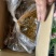 一点红油豆角量大质优基地直销支持视频看货欢迎前来采购