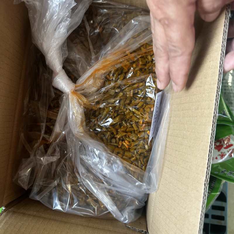 一点红油豆角量大质优基地直销支持视频看货欢迎前来采购