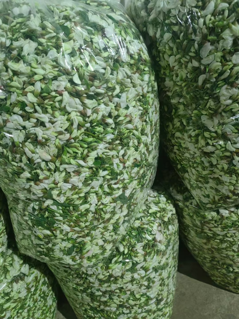 大量出售洋槐花保质量