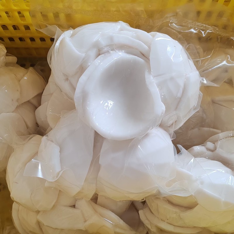 海南老椰子肉椰子片椰子脆