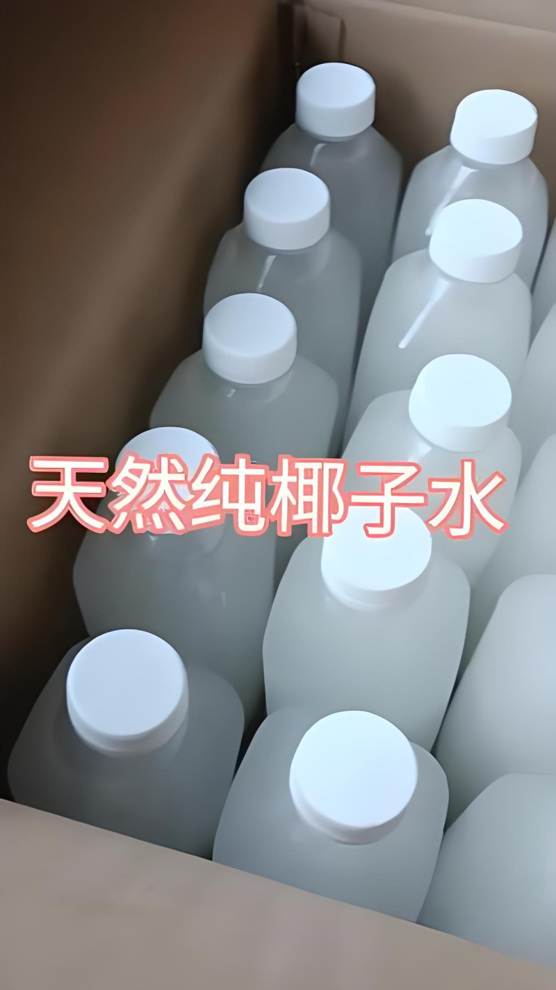 海南老椰子肉椰子片椰子脆