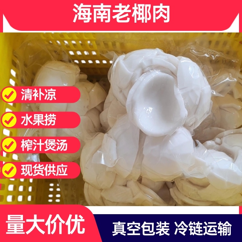 海南老椰子肉椰子片椰子脆