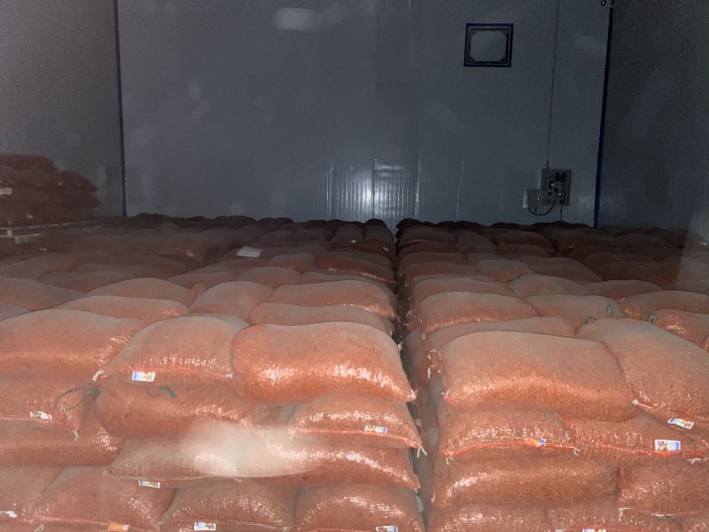 出售1000+吨库存油莎豆，价格电联。