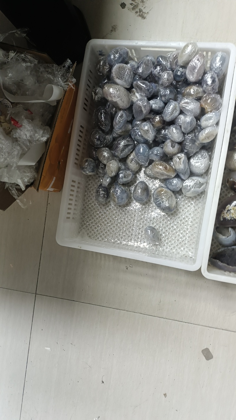 精品玛瑙恐龙蛋