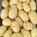 汉中沃土5号产地直发，对接全国一条龙服务量大从优。