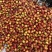 大棚黄肉油桃大量供货对接多多仓社区团购市场直播电商代发