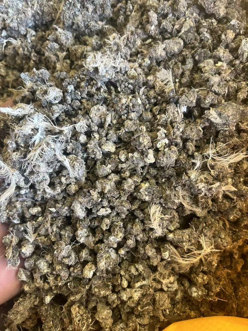 生物有机肥/动物粪便/晒干纯鹌鹑粪，颗粒鹌鹑粪，纯鸽子粪