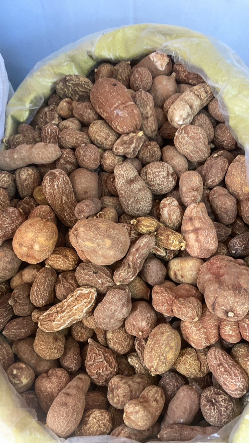 金果榄金牛胆青牛胆大货批发一手货源黄灵参