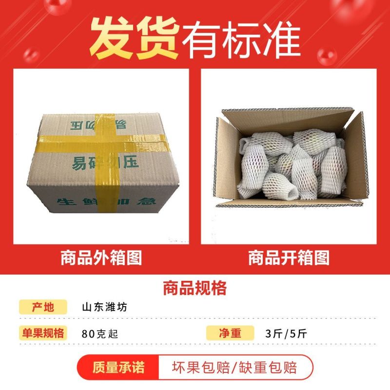 陕西普罗旺斯/西红柿/一件代发//对接电商/京东包邮