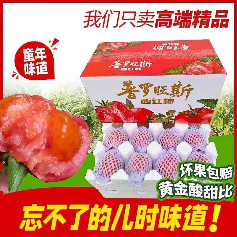 陕西普罗旺斯/西红柿/一件代发//对接电商/京东包邮
