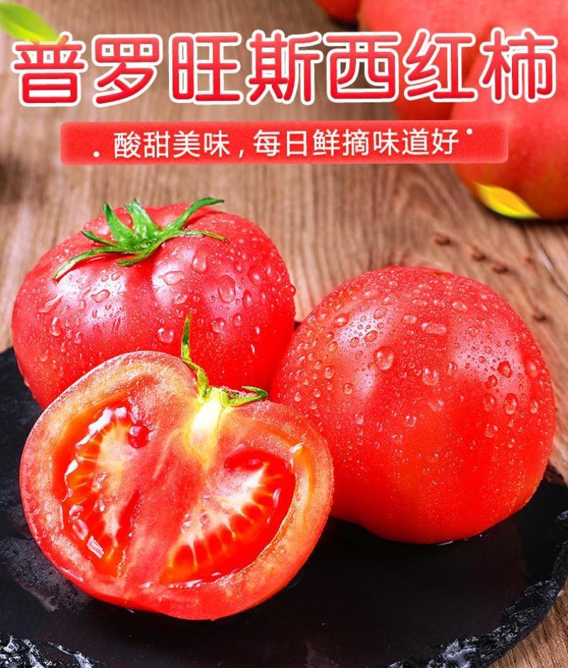 陕西普罗旺斯/西红柿/一件代发//对接电商/京东包邮