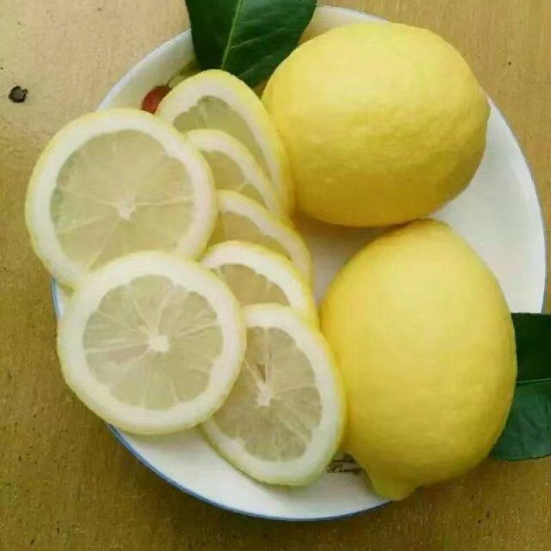 安岳黄柠檬